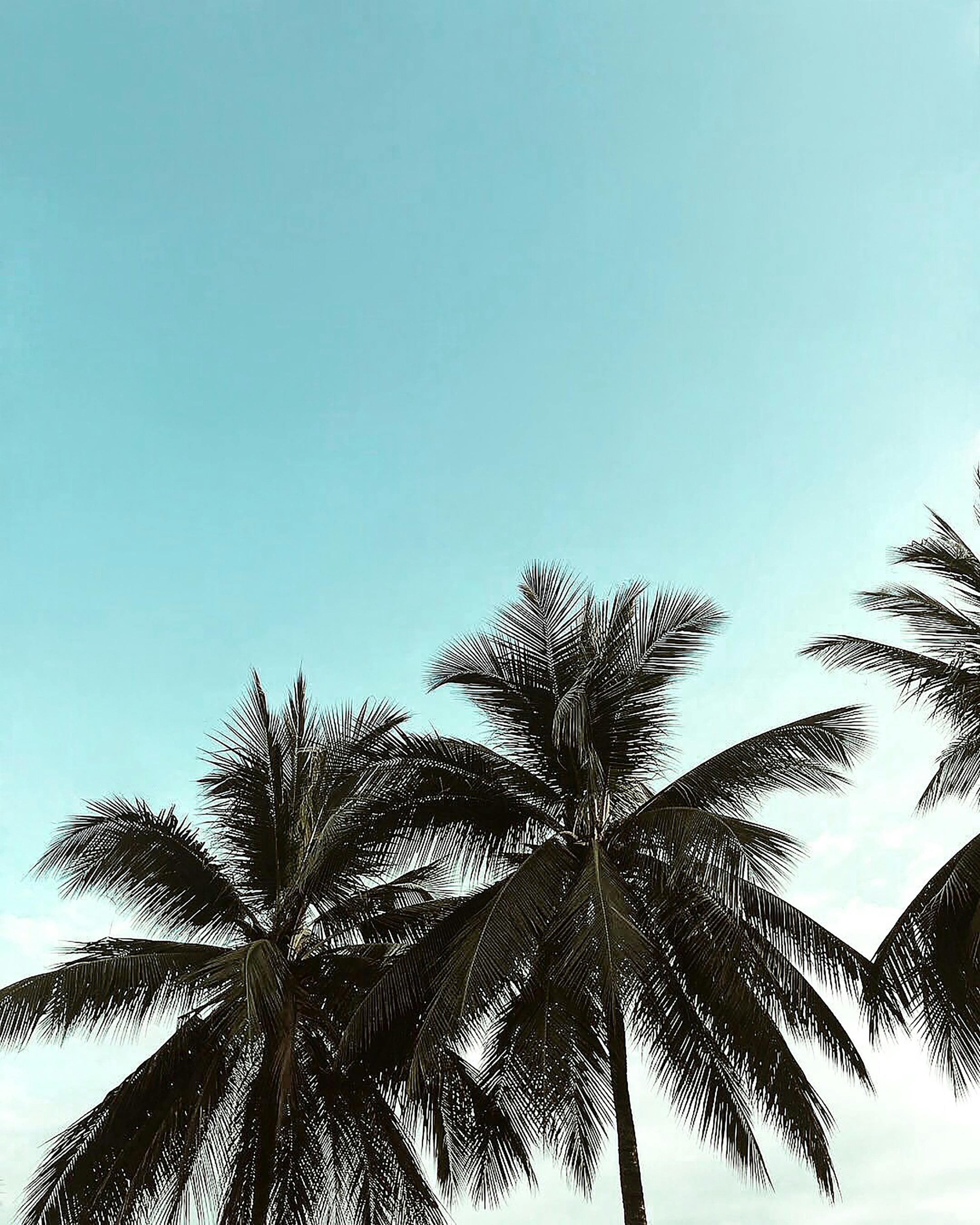 Retreats — Pranavi Connect